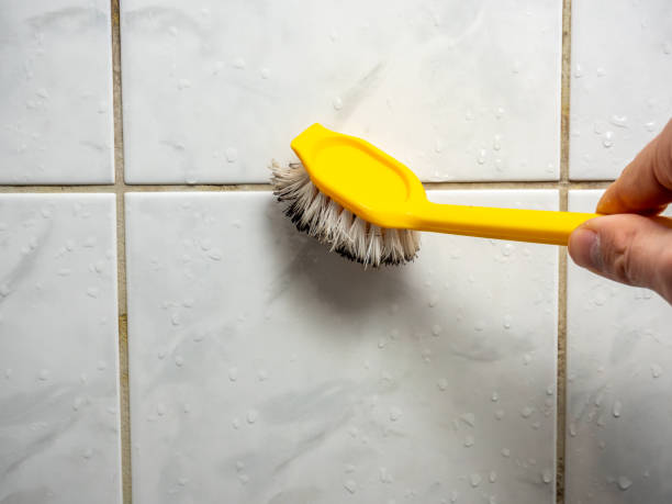 Best Mold Inspection  in Taylorsville, KY