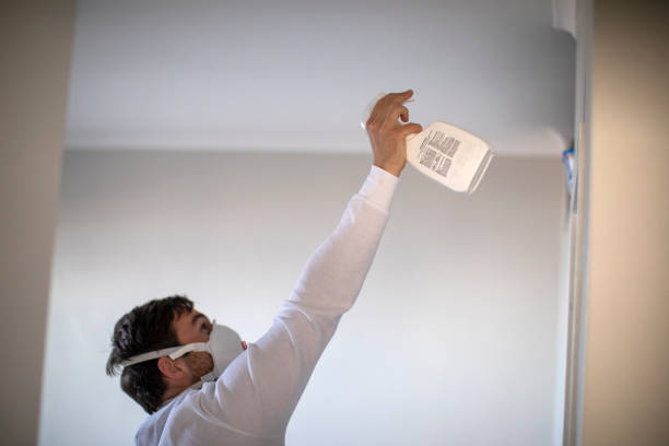 Best Professional Mold Removal  in Taylorsville, KY