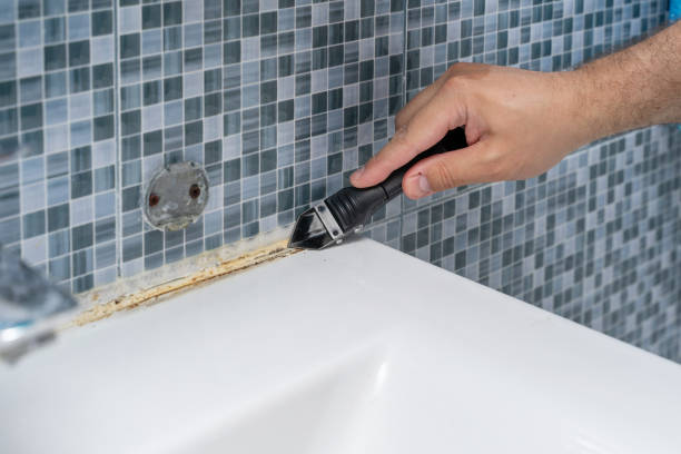 Mold Removal and Inspection in Taylorsville, KY