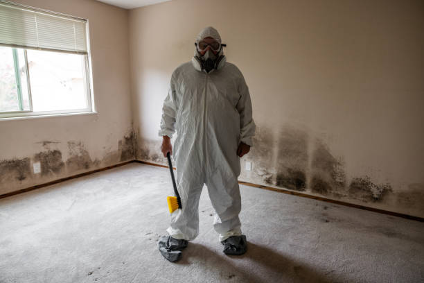 Best Fast Mold Removal  in Taylorsville, KY